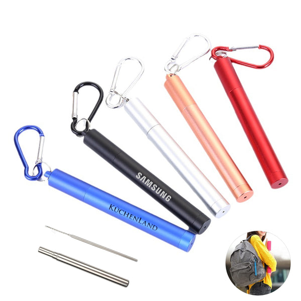 Reusable Stainless Steel Straw with Case