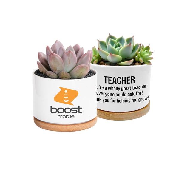 Mini Ceramic Flower Pot